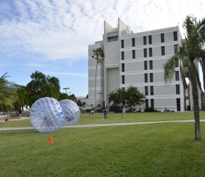 Zorb Ball Rental Jacksonville